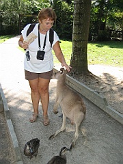 254 Wildlife Habitat Port Douglas